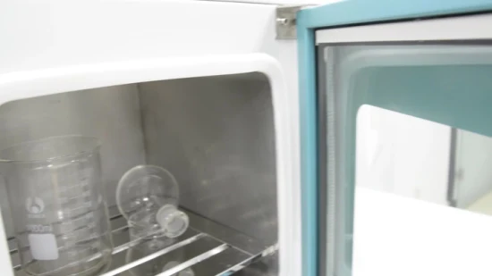 Venta caliente y alta calidad2021China laboratorio médico horno de secado cámara de vacío eléctrico bajo precio ráfaga